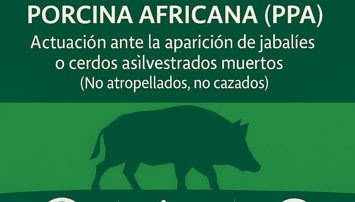 Es Andalucía - Sevilla