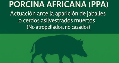 Es Andalucía - Sevilla