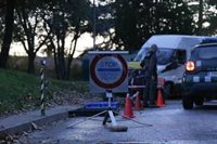 Agro.- Mossos y Guardia Civil inician una investigación conjunta sobre el origen del brote de PPA