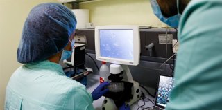 Imagen de la investigación.