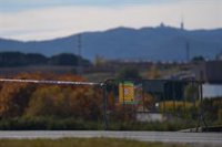 El Govern acuerda con el sector comenzar el sacrificio de los cerdos sanos cerca del foco de PPA