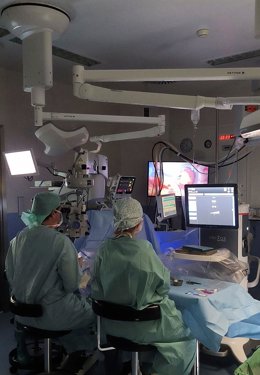 Hospitales. Profesionales sanitarios. Recurso.