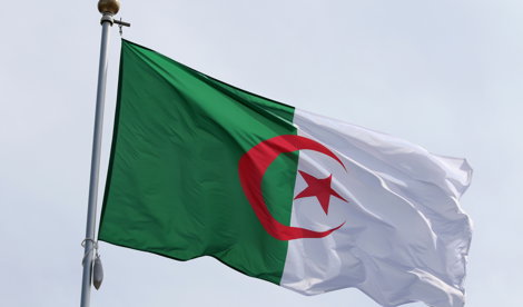 notibrasil sociedade