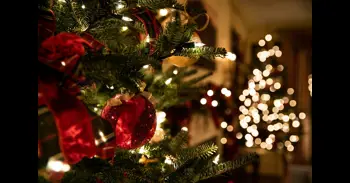 "Las ramas no se abren así": el truco que transforma un árbol de Navidad pobre en uno frondoso