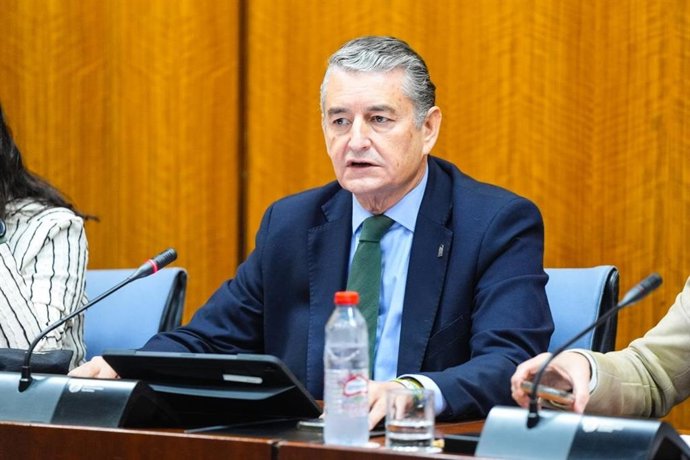 Archivo - El consejero de Sanidad, Presidencia y Emergencias, Antonio Sanz, en la comisión parlamentaria del 31 de octubre de 2025. (Foto de archivo).