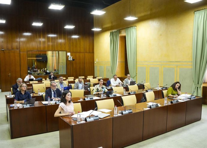 Archivo - Sesión de la comisión sobre la Infancia y la Adolescencia del Parlamento andaluz. (Foto de archivo).