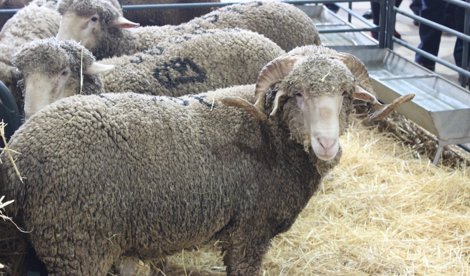 Es Andalucía - Sevilla