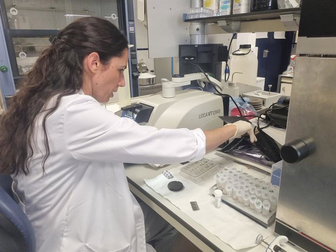 Archivo - La investigadora de la UJA Clara Ortega