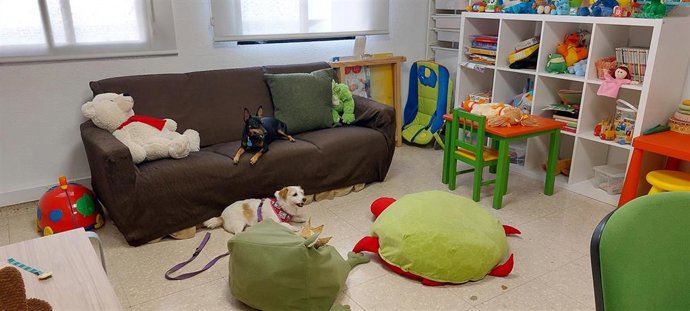 Asistencia con perros.