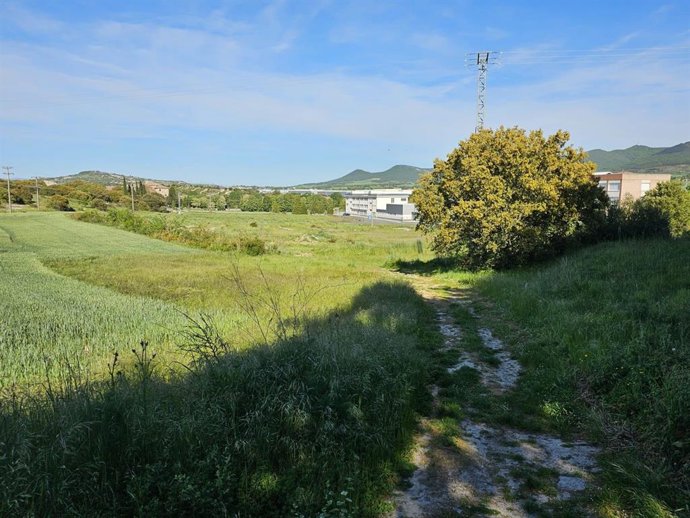 Archivo - Terrenos en los que el PP ha propuesto construir viviendas en Iruña de Oca