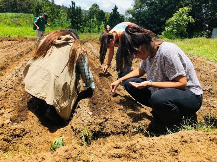 Archivo - Jóvenes cooperantes de Euskadi participan en proyectos promovidos por ONGDs en África y América del Sur