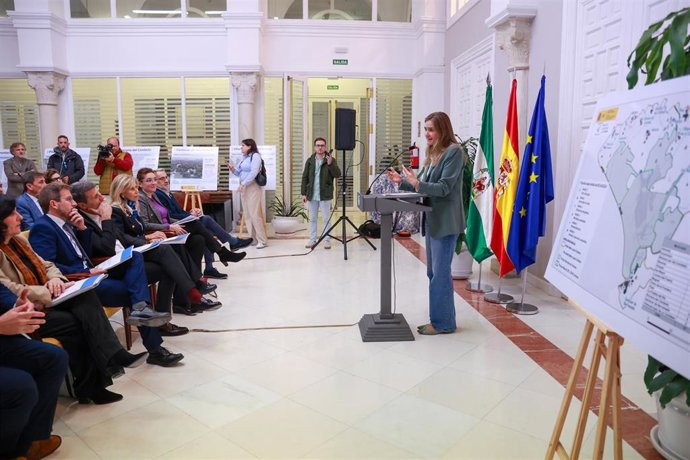 Archivo - La vicepresidenta del Gobierno y ministra para la Transición Ecológica y el Reto Demográfico, Sara Aagesen interviene en la reunión con los alcaldes de la zona de Doñana. A 20 de diciembre de 2024 en Sevilla. (Foto de archivo).