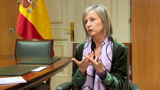 Observatorio contra la Violencia de Género: "No toda la protección pivota sobre