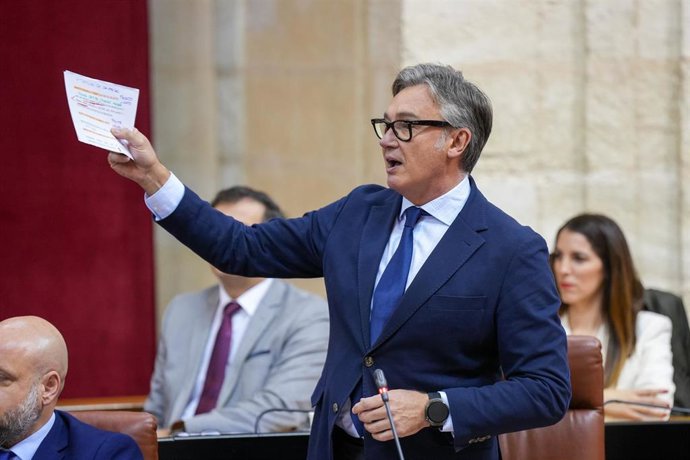 El portavoz del Grupo Vox en Andalucía, Manuel Gavira, en una imagen de archivo en el Pleno del Parlamento. 