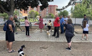 Archivo - La viceportavoz del PSOE en el Ayuntamiento de Málaga, Begoña Medina, en una foto de archivo.