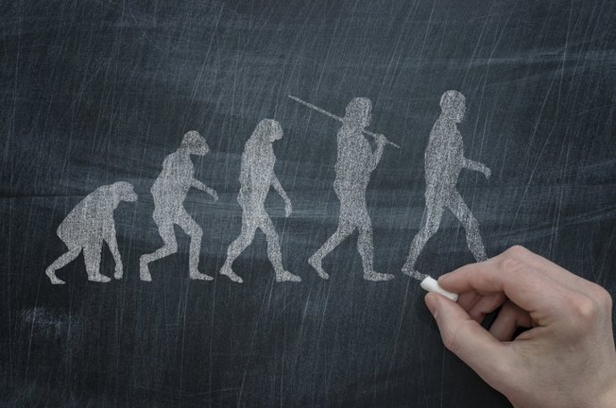 Archivo - Evolución