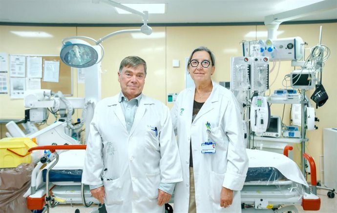 Profesionales de Urgencias del Hospital Universitario Virgen del Rocío de Sevilla