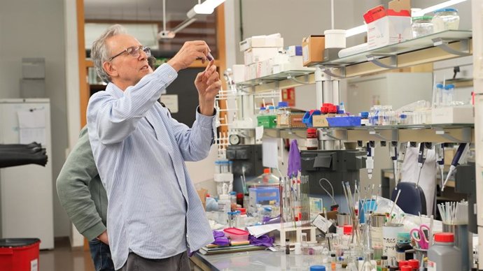 La UV investiga cómo crear el “cerebro” de los ordenadores cuánticos del futuro