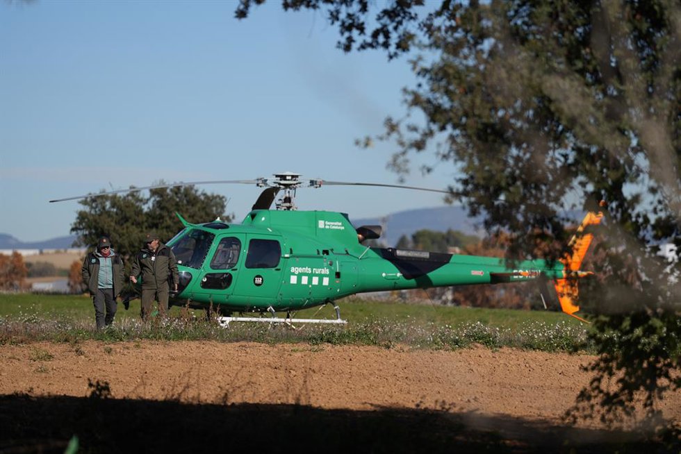 Helicóptero en el centro de Torreferrussa en las zonas restringidas por la cuarentena ante la peste porcina africana