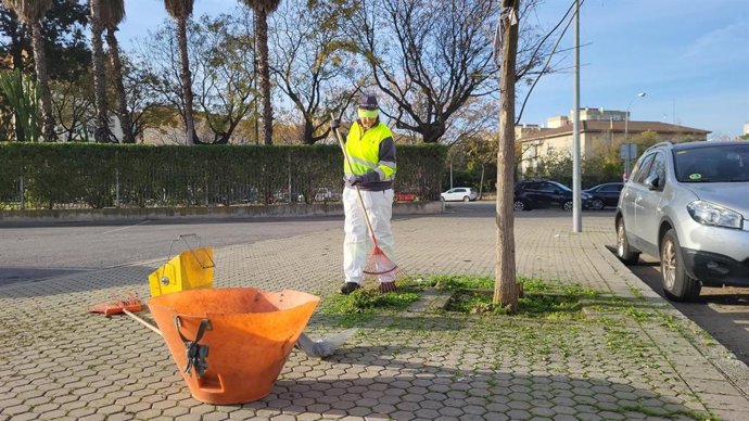 Un operario de Lipasam realizando labores de desbroce.