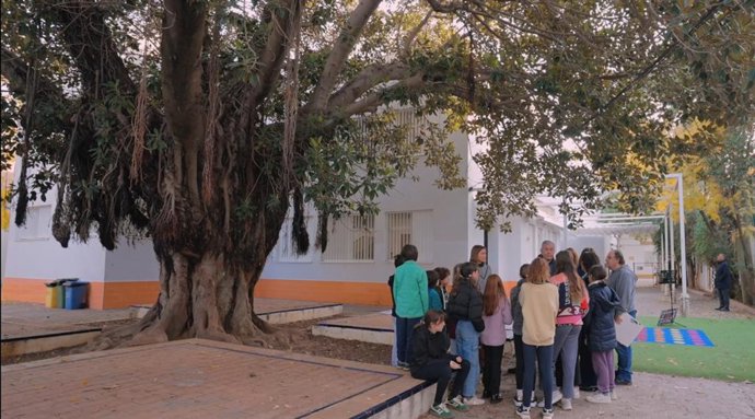 El alcalde de Sevilla visita el CEIP Huerta de Santa Marina para apoyar la candidatura de su ficus a ser el Árbol del Año 2026.