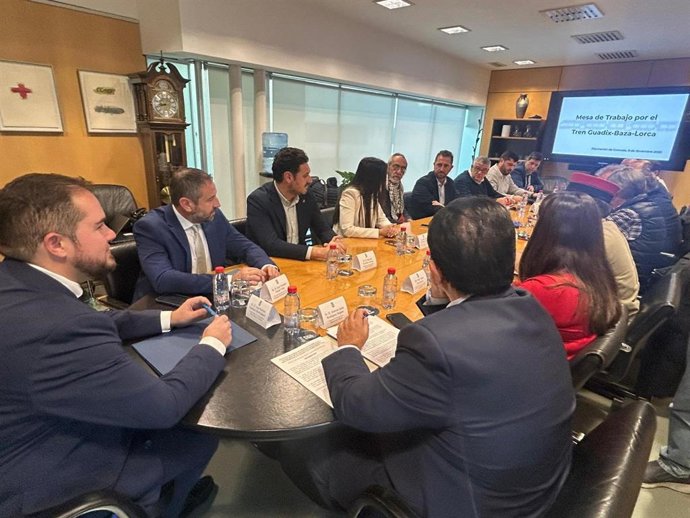 El director general de Movilidad y Transportes, José Antonio Verdú, durante su participación en la Mesa de trabajo para la defensa de la recuperación de la conexión ferroviaria estratégica entre Andalucía y el Levante (Tren Guadix-Baza-Lorca)