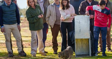 Es Andalucía - Córdoba