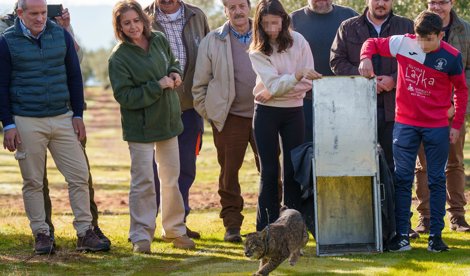 Es Andalucía - Córdoba