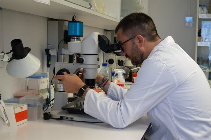 El bejarano Juan Pellico obtiene 2 millones para desarrollar un 'GPS biológico' contra el cáncer.