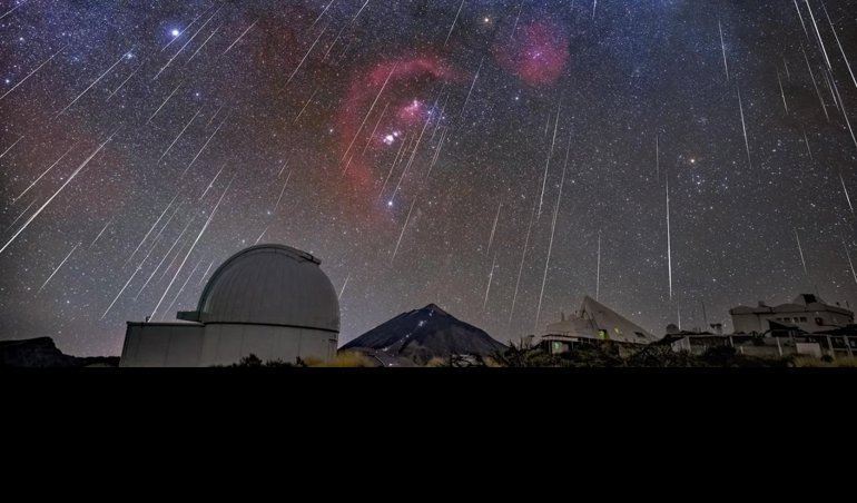 notibrasil sociedade