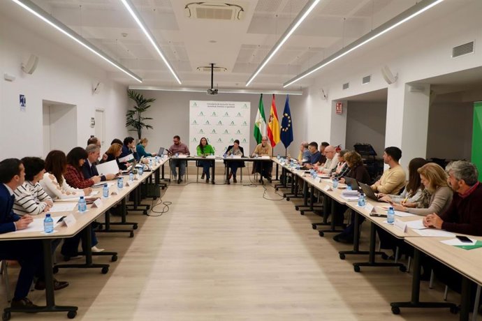La consejera de Inclusión Social, Juventud, Familias e Igualdad, Loles López, en el pleno del Consejo Andaluz LGTBI.