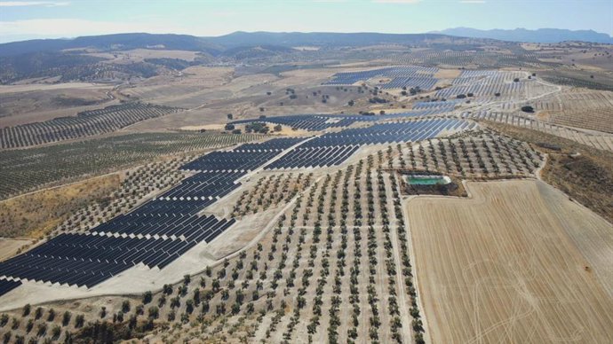 Planta solar de Caparacena 150 MW