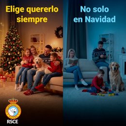 RSCE lanza una campaña por la tenencia responsable de perros y alerta de que uno de cada cuatro se abandona tras navidad