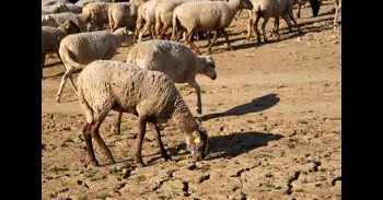 La ONU advierte que si no se toman medidas el cambio climático reducirá el PIB mundial en un 20% para finales de siglo