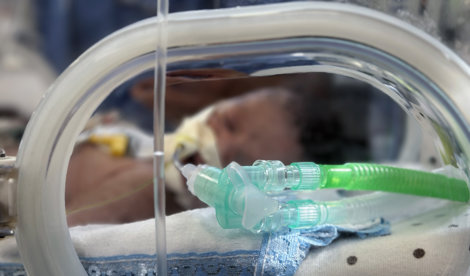 notibrasil política