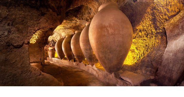 EpAgro - Agricultura