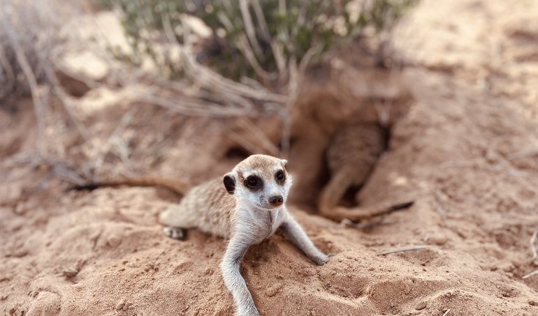 notibrasil sociedade