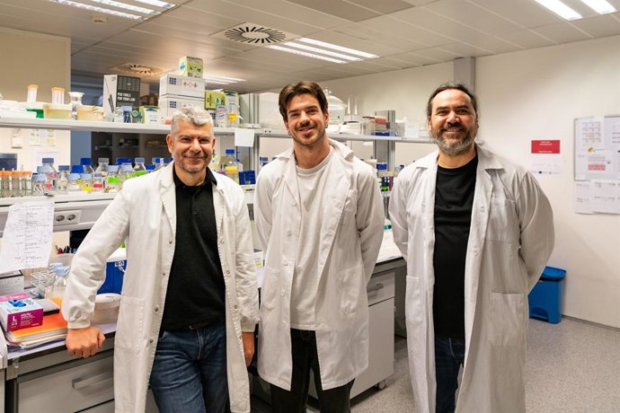 De izquierda a derecha: Manuel Rodríguez Concepción, Pablo Pérez Colao y Jorge Lozano Juste.