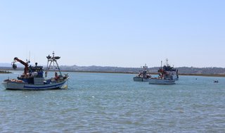 Archivo - Imagen de archivo de barcos pesqueros andaluces.