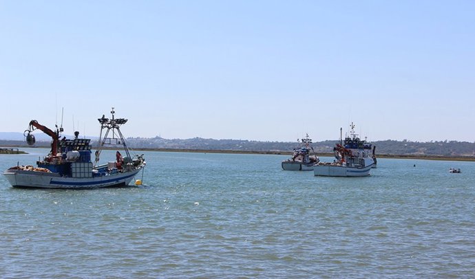 Archivo - Imagen de archivo de barcos pesqueros andaluces.