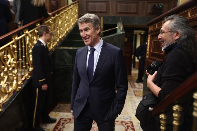 El líder del PP, Alberto Núñez Feijóo