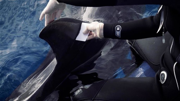 Empleo de la tarjeta