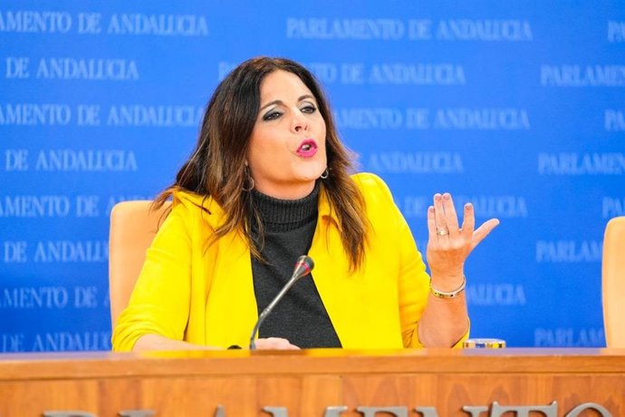 La portavoz adjunta del PSOE-A en el Parlamento andaluz, Ángeles Férriz, en rueda de prensa.