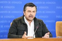 PP-A cree que Landaluce renuncie a la militancia es "la mejor estrategia para defenderse" ante denuncia de PSOE