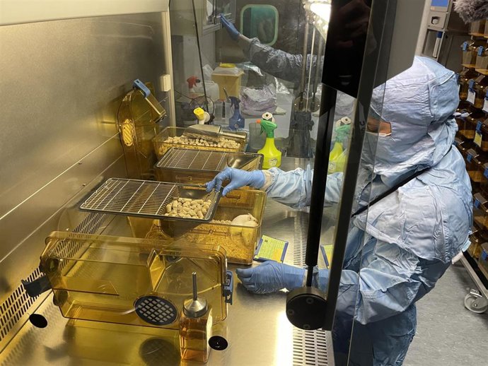 Imagen del Proyecto Cunina.