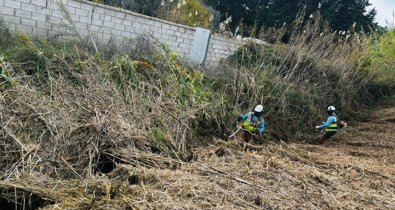 Es Andalucía - Cádiz