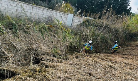 Es Andalucía - Cádiz