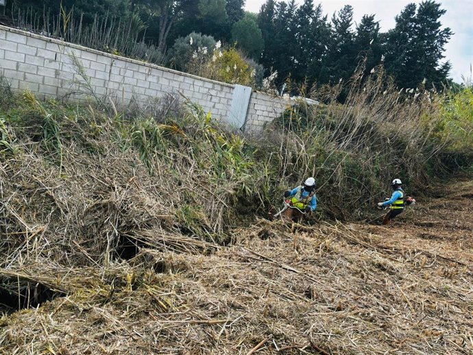 Limpieza del arroyo El Quinto en Conil.