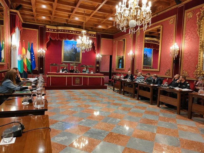 Comisión de Protección Ciudadana, Educación, Política Social y Familia del Ayuntamiento de Granada