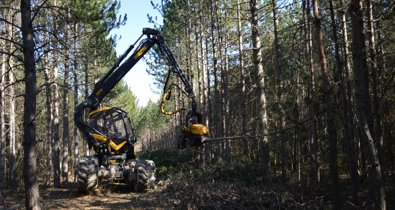 Es Andalucía - Sevilla
